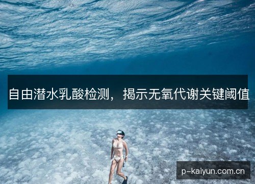 自由潜水乳酸检测,揭示无氧代谢关键阈值 自由潜水乳酸检测,揭示无氧代谢关键阈值